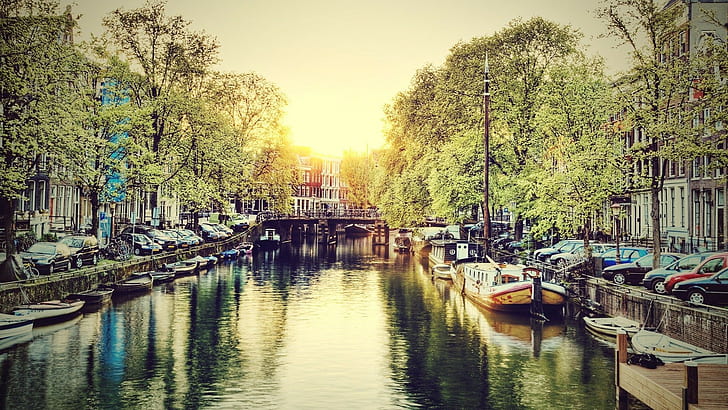 канал, лодка, кола, мост, вода, дървета, град, Амстердам, река, лято, HD тапет