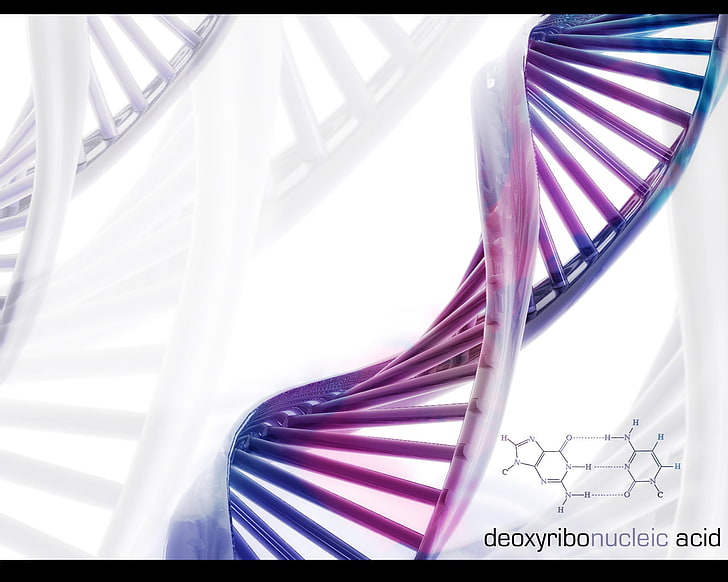 DNA illustration, science, DNA, formula, HD wallpaper