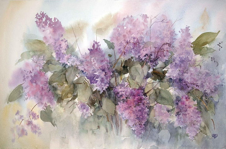 รูป, รูปภาพ, สีน้ำ, ภาพวาด, ไลแลค, ดอกไม้ฤดูใบไม้ผลิ, ศิลปิน Irina Tarasova, วอลล์เปเปอร์ HD