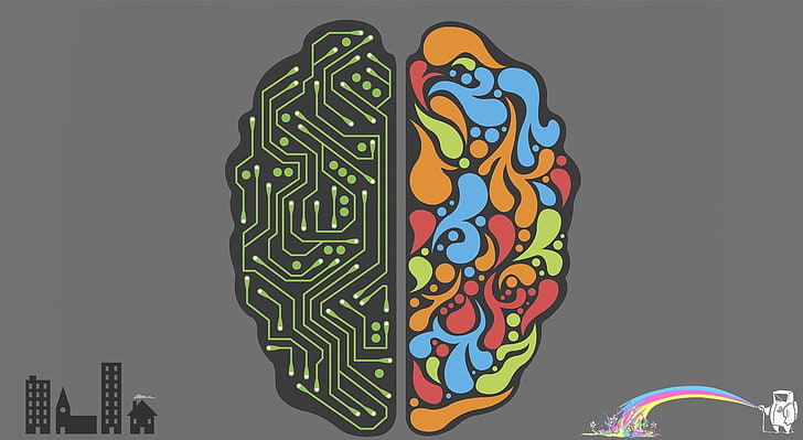 Emotional and Rational Brain HD Wallpaper, multicolored artwork wallpaper, Funny, brain, rational, emotional, creative, cool, nice, brains, HD wallpaper
