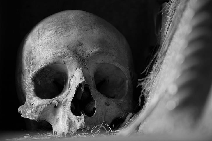 Adam Burke, monochrome, crâne, 500px, Fond d'écran HD