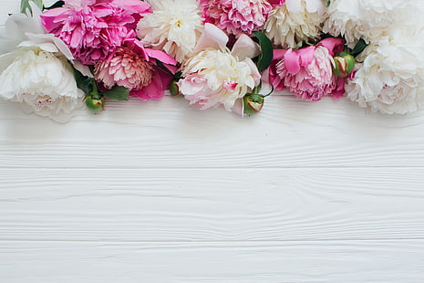 белые и розовые цветы, цветы, белые, розовые, пионы, деревянный фон, HD обои HD wallpaper
