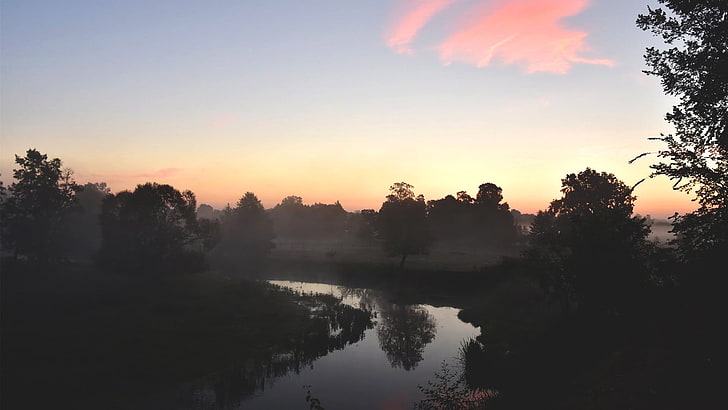 río y árboles, paisaje, río, mañana, sol, cielo despejado, robles, bosque, fotografía, Justyna Ferska, Polonia, Fondo de pantalla HD