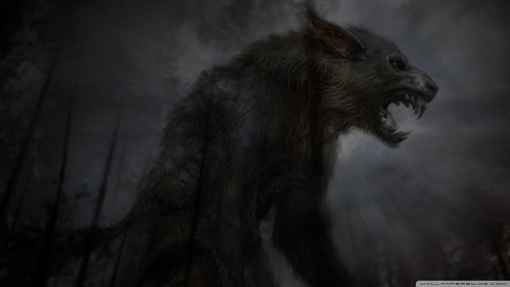 black fantasy art tagnotallowedtoosubjective wolves Abstract Photography HD Art , Black, wolves, fantasy art, TagNotAllowedTooSubjective, HD wallpaper