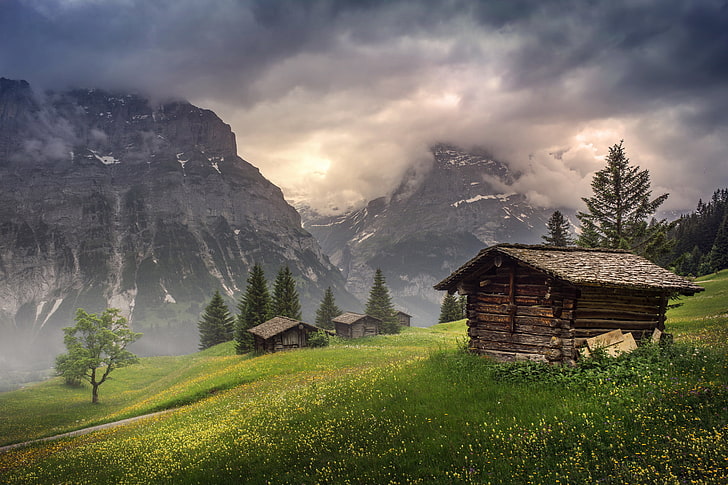 brown house, flowers, fog, Switzerland, cloud, valley, houses, in the Canton of Bern, Grindelwald, HD wallpaper