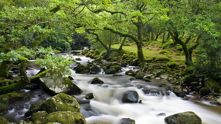 Cherry Brook River Dartmoor National Park Forest في مقاطعة ديفون في جنوب غرب إنجلترا ، صخور النهر الخضراء ، أشجار البلوط ، خلفية المناظر الطبيعية ، 3840 × 2160، خلفية HD