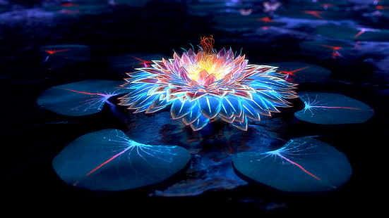 illustration de fleur de lotus bleu et rouge, fleurs, fleurs de lotus, oeuvre, Fond d'écran HD HD wallpaper