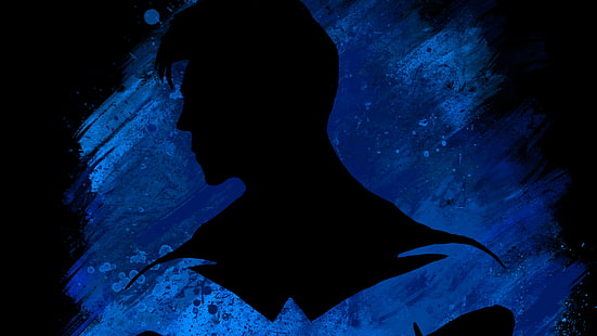 كاريكاتير ، Nightwing ، دي سي كوميكس، خلفية HD HD wallpaper