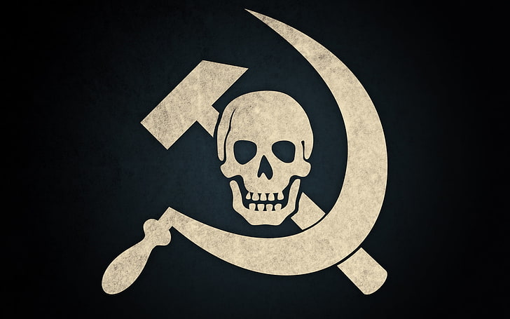 white hammer and sickle logo, skull, hammer, HD wallpaper