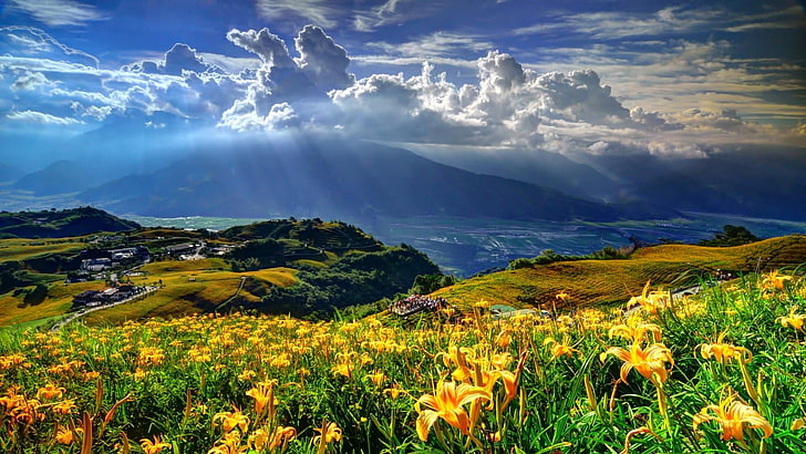solstråle, solsken, moln, gräs, strålar, fält, högland, äng, berg, natur, bergiga landformer, vildmark, vår, bergslandskap, gräsmark, vild blomma, himmel, HD tapet