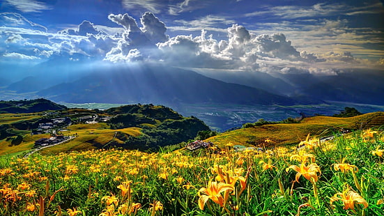 solstråle, solsken, moln, gräs, strålar, fält, högland, äng, berg, natur, bergiga landformer, vildmark, vår, bergslandskap, gräsmark, vild blomma, himmel, HD tapet HD wallpaper