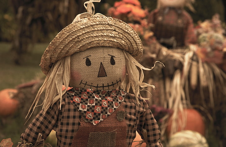 Harvest Time Fun Pigeon Forge Tennessee, scarecrow doll, Seasons, Autumn, fall, tennessee, pigeon forge, harvest, harvest time, scarecrow, HD wallpaper