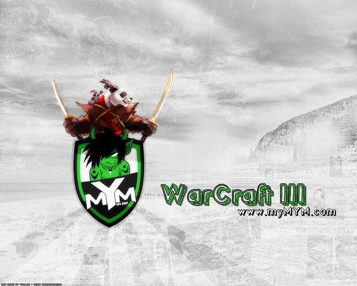 Temui Pembuat Anda, Warcraft III, Wallpaper HD