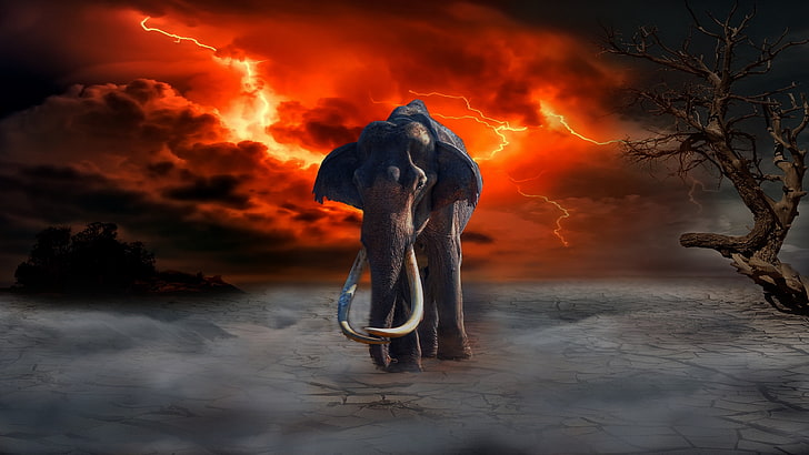 elefante, relámpago, arte de fantasía, árbol, sequía, sequedad, tormenta, photoshop, cielo nublado, rojo, obra de arte cg, apocalíptico, Fondo de pantalla HD