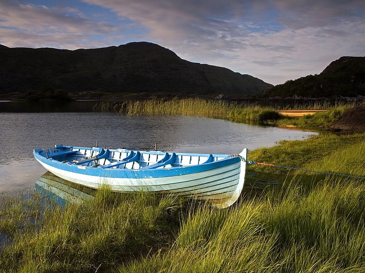 white and blue canoe, boat, grass, nature, river, HD wallpaper