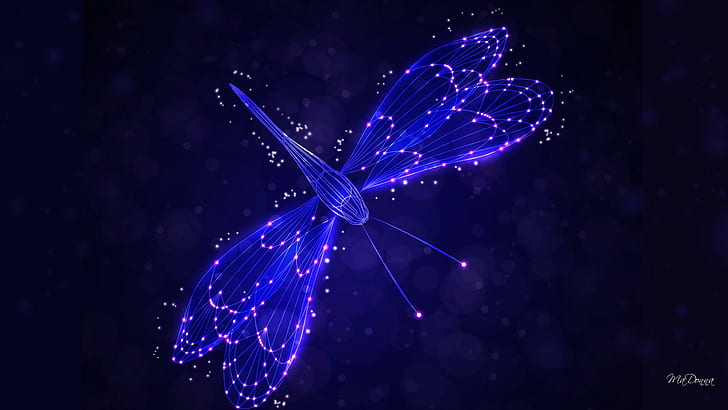 Dragonfly Lights, stars, dragonfly, shine, blue, bright, garden, glow, lights, fantasy, summer, nature and landscapes, HD wallpaper