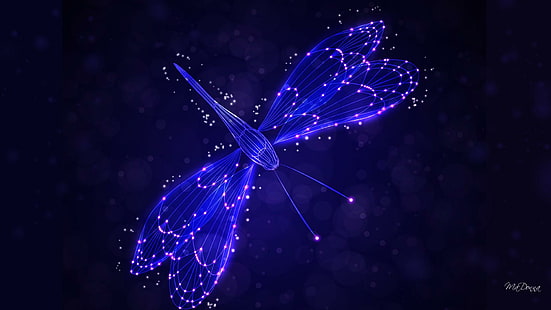 Dragonfly Lights, stars, dragonfly, shine, blue, bright, garden, glow, lights, fantasy, summer, nature and paesaggi, Sfondo HD HD wallpaper