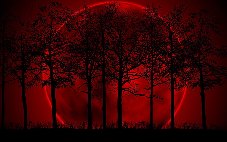 красная луна и силуэт деревьев цифровые обои, красный, фон, луна, тьма, черный, деревья, мрак, HD обои