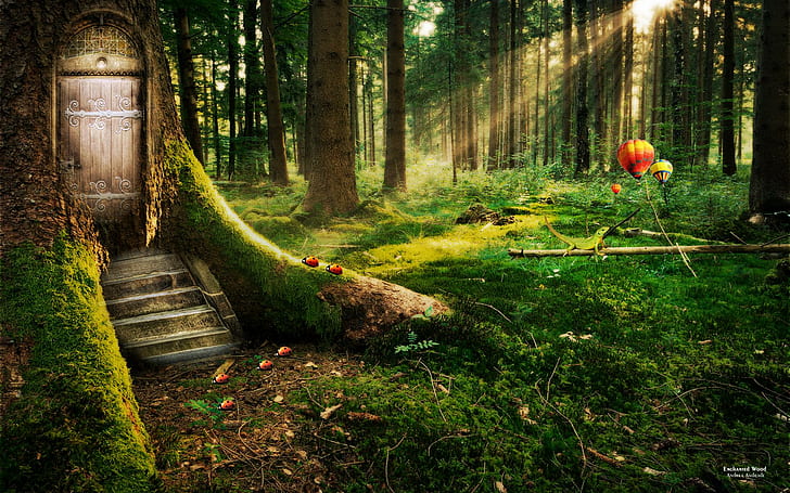 Заколдованный лес, зеленые лиственные деревья, лес, заколдованный, мечтательный и фантазийный, HD обои