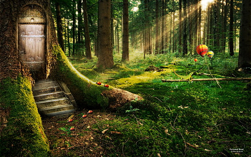غابة مسحورة ، أشجار أوراق خضراء ، غابة ، مسحور ، حالمة وخيالية، خلفية HD HD wallpaper
