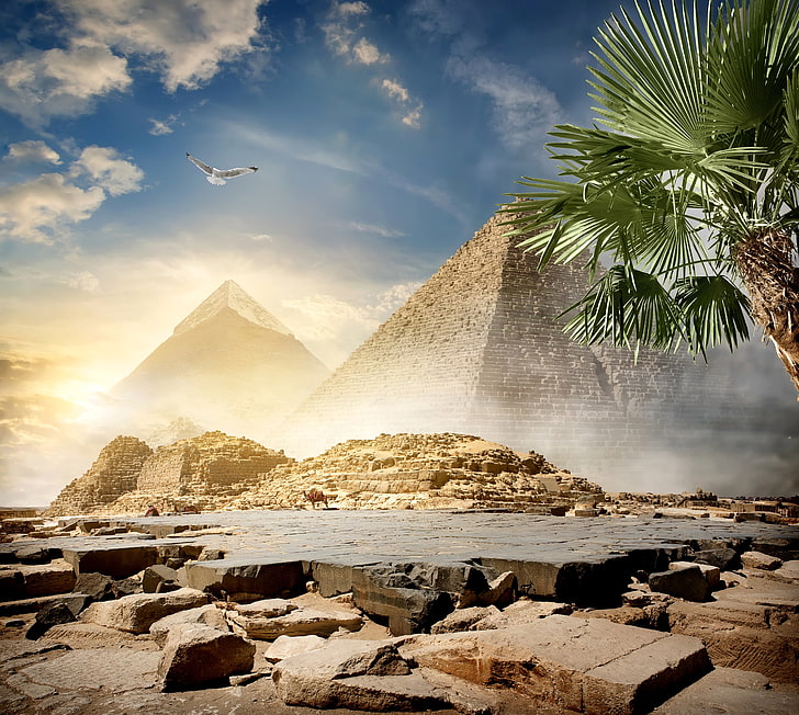 two Pyramid landscape, the sky, the sun, clouds, Palma, stones, bird, desert, photoshop, Egypt, pyramid, camels, Cairo, HD wallpaper