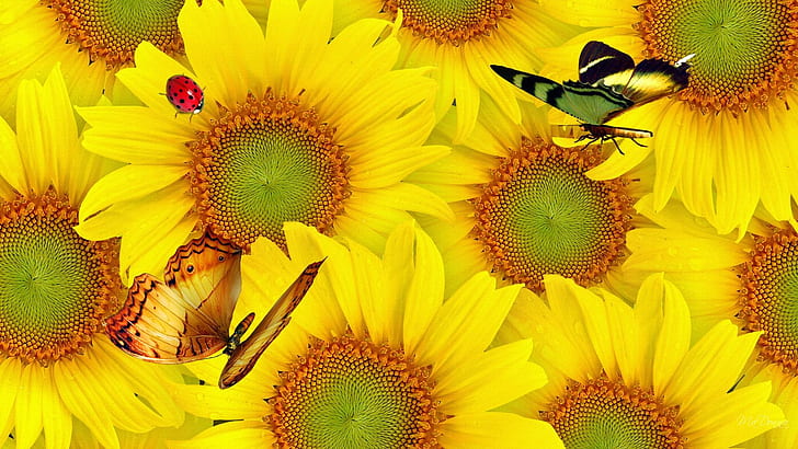Wall Of Sunflowers, yellow, fall, sunflowers, lady bug, bright, summer, butterflies, autumn, 3d and abstract, HD wallpaper