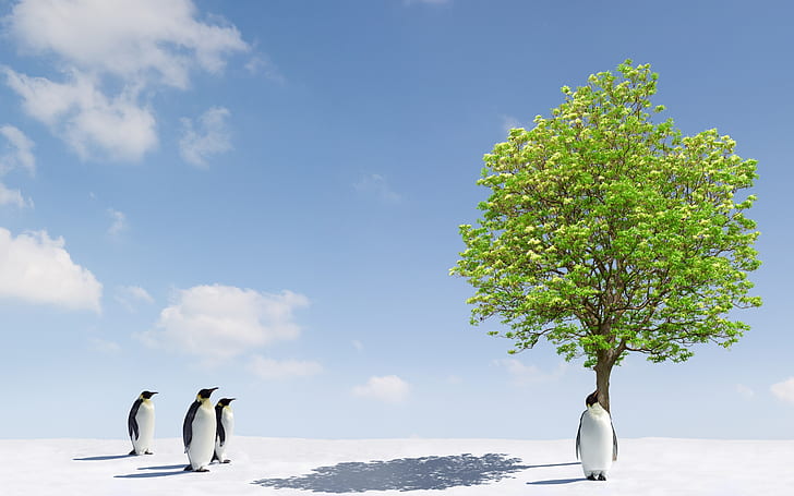 Пингвины и зеленое дерево, 4 королевских пингвина, снег, лед, картинка, фото, HD обои