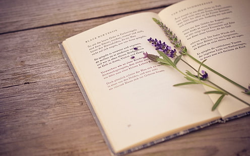 Book Lavender Flower, book, lavender, flower, HD wallpaper HD wallpaper