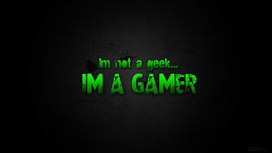 Geek Gamer Black HD, วิดีโอเกม, ดำ, เกมเมอร์, เกินบรรยาย, วอลล์เปเปอร์ HD HD wallpaper