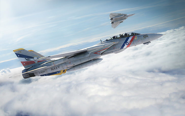 the sky, flight, the plane, fighter, f-14, tomcat, HD wallpaper