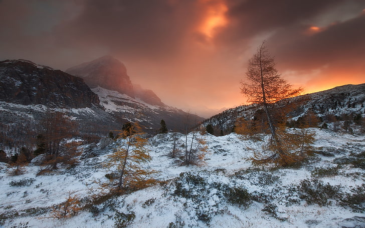 nature, landscape, storm, mountains, forest, snow, sunset, clouds, cold, mist, HD wallpaper