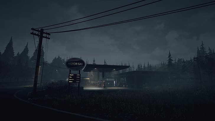 Tankstelle, Nacht, Wald, HD-Hintergrundbild