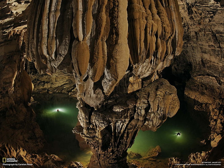 กิ่งไม้สีน้ำตาลและสีดำถ้ำ National Geographic, วอลล์เปเปอร์ HD