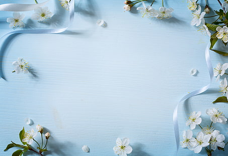 цветя, пролет, ябълка, дърво, синьо, цвят, HD тапет HD wallpaper