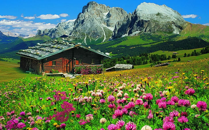 Paisagem de madeira montanha casa caixa com flores da primavera, floresta colorida com pinheiros, montanhas rochosas, azul com nuvens brancas Tirol do Sul Áustria Hd papel de parede, HD papel de parede