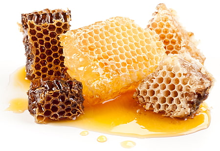 honeycombs and honey, combs, honey, sweet, HD wallpaper HD wallpaper