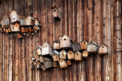Holz, Holzoberfläche, Bretter, Textur, Vogelhäuschen, HD-Hintergrundbild HD wallpaper