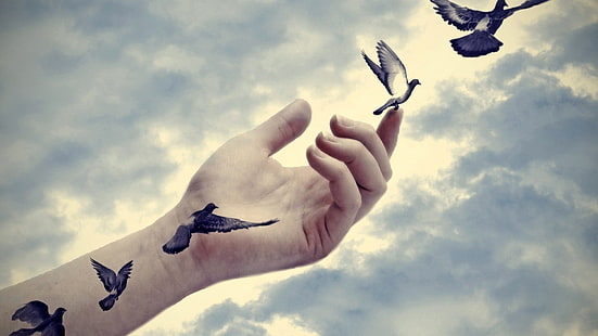 main gauche de la personne, tatouage de la main colombes volantes avec fond de nuages, oiseaux, mains, vol, nuages, manipulation de photos, œuvres d'art, ciel, doigts, Fond d'écran HD HD wallpaper