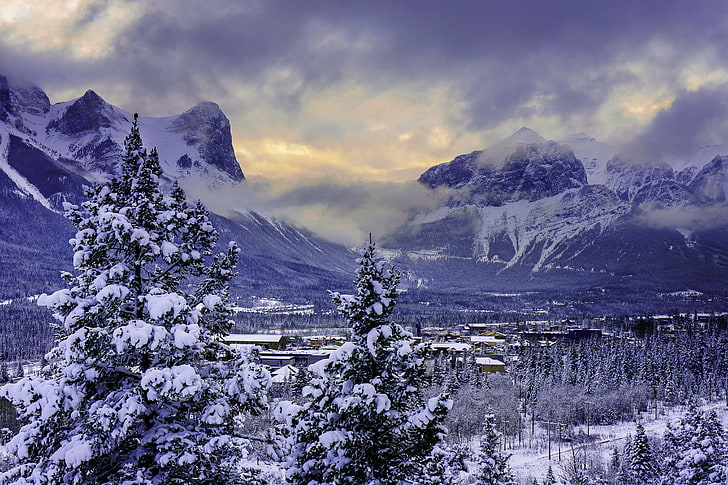 trees and plants, canada, mountain, alberta, banff national park, snow, winter, HD wallpaper