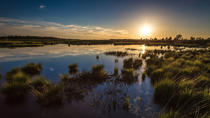 Sunset Sunlight Grass Pond HD, ธรรมชาติ, พระอาทิตย์ตก, แสงแดด, หญ้า, บ่อน้ำ, วอลล์เปเปอร์ HD