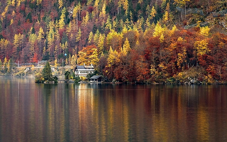 природа, пейзаж, езеро, къща, гора, Халщат, Австрия, дървета, падане, вода, цветно, HD тапет