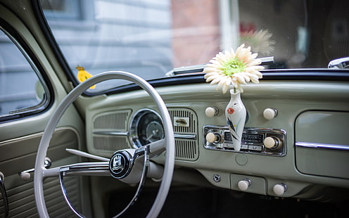 Classic Car Classic Interior Flower Volkswagen Bug Volkswagen HD, รถยนต์, รถ, ดอกไม้, คลาสสิก, ภายใน, โฟล์คสวาเก้น, บั๊ก, วอลล์เปเปอร์ HD HD wallpaper