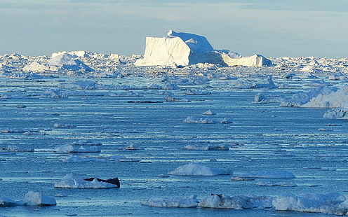 zimno, grenlandia, warczenie, lód, góra lodowa, ocean, śnieg, Tapety HD HD wallpaper