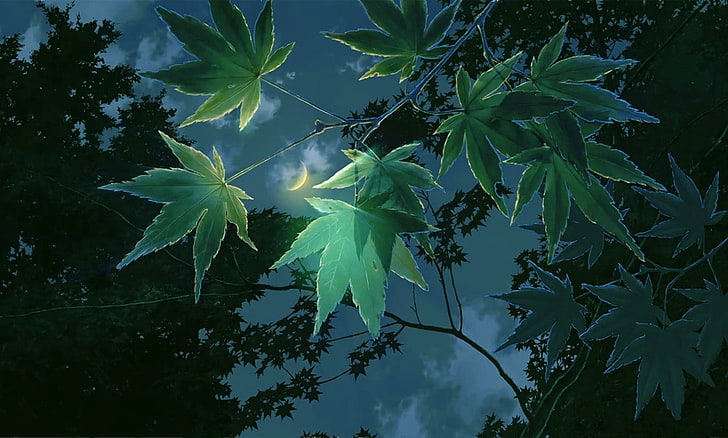 El jardín de las palabras, Makoto Shinkai, Nocturne, Fondo de pantalla HD