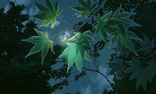 Ordens trädgård, Makoto Shinkai, Nocturne, HD tapet HD wallpaper