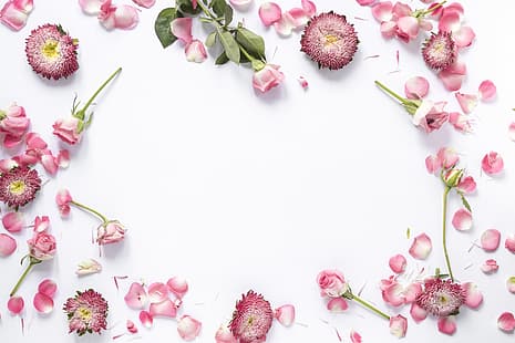  flowers, background, roses, petals, pink, buds, HD wallpaper HD wallpaper