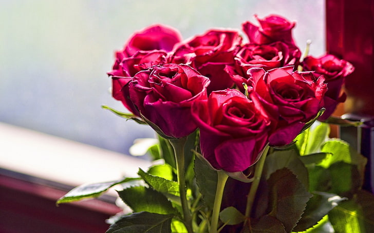 bouquet, day, roses, valentine 039 s, HD wallpaper