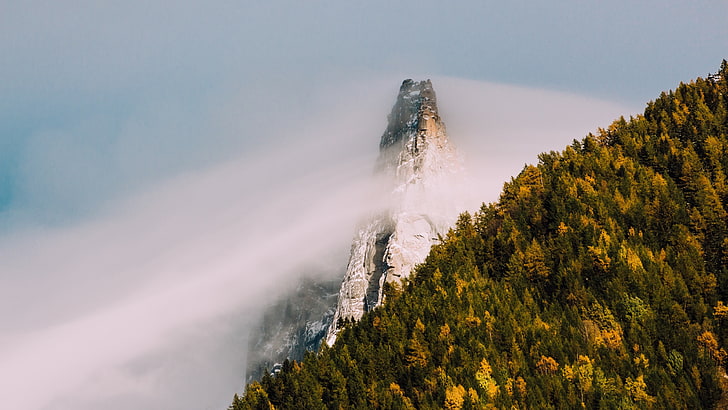 fotografia z niskiego kąta lasu w pobliżu góry pokrytej mgłą, natura, krajobraz, drzewa, las, góry, chmury, mgła, długa ekspozycja, zaśnieżony szczyt, Tapety HD