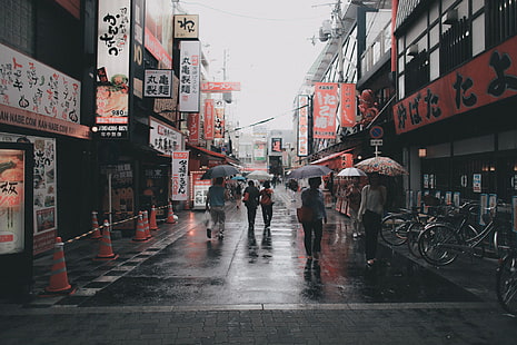 ombrello, giappone, asiatico, strada, giapponese, Sfondo HD HD wallpaper