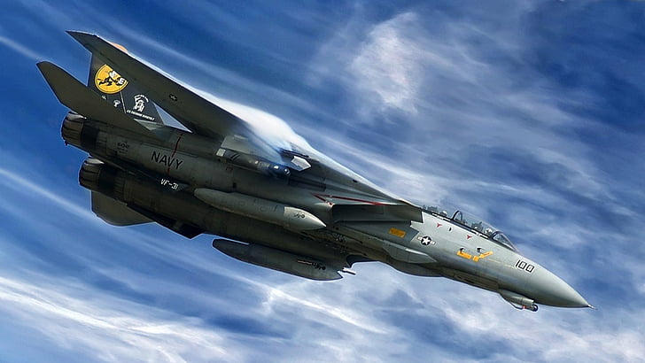 Düsenjäger, Grumman F-14 Tomcat, HD-Hintergrundbild